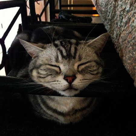 Dijon?Dexter?Wiskey?